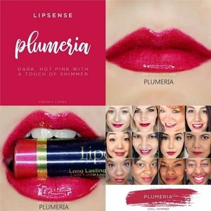 COPY - New & Sealed Lipsense